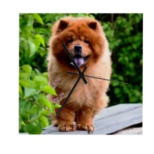 Chow chow clock
